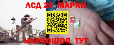 гидра Новодвинск