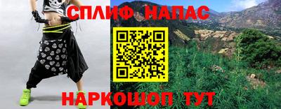 гидра Новодвинск