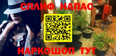 гидра Новодвинск