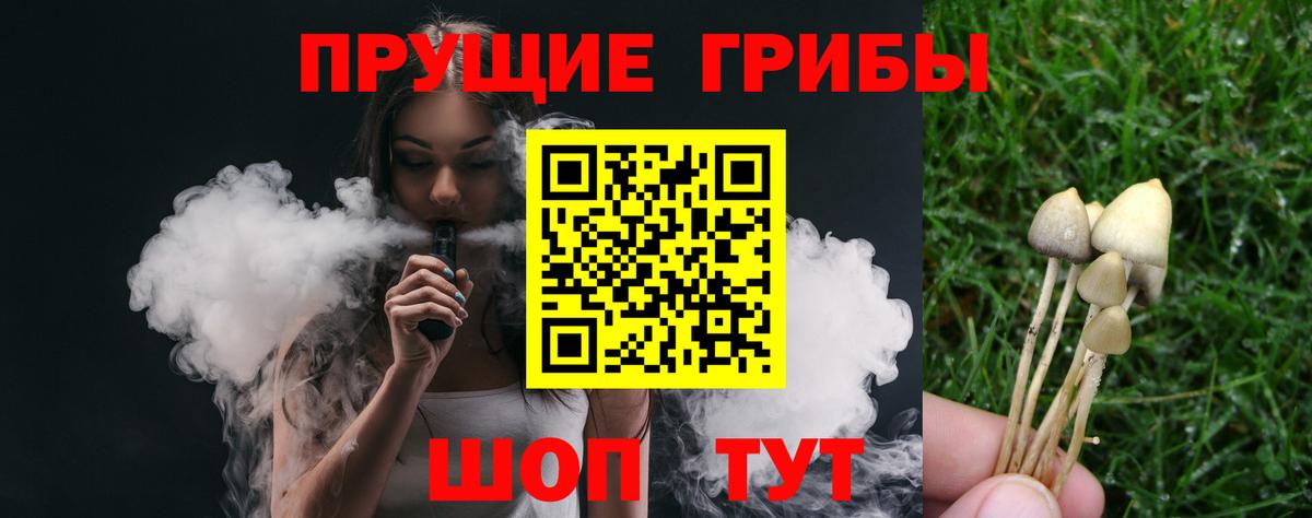 Прокопьевск  Псилоцибиновые грибы Cubensis  Вход с VPN 